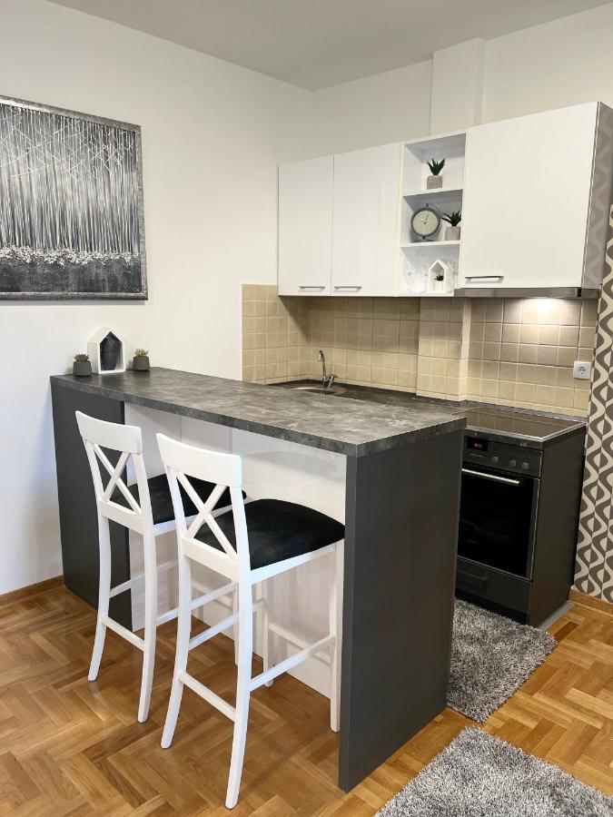 Centar Ns2 Apartment Novi Sad Exterior photo